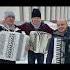 тундрдуо сергейвойтенко аккордеонист гармонист баянист Accordion душабаяна баян
