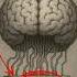 The Halo Effect Why Attractive People Seem More Trustworthy Psychology HaloEffect Manipulation