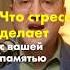 Вы когда нибудь заходили в комнату и забывали зачем пришли Возможно это стресс стресс