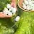 Collecting Eggs In The River Shorts