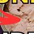 TVP In Canned TUNA Watchmen Update