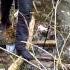 С Любимой по звериным тропам 2 ой день Bogomaz05
