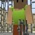 Herobrine Or Diamond TIKTOK MINECRAFT COMPILATION