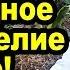 Природного земледелия не существует