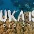 Diving Pulau Pramuka Tabularasa Shipwreck