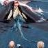 Ocean Life Death Orcas Hunt Great White Shark Ferocious Attack OrcaHunt LifeOrDeath
