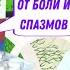 Андипал от боли спазмов повышенного артериального давления