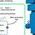 Absorption Chiller How It Works Working Principle Hvac