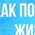 Как полюбить жизнь