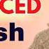 ADVANCED ENGLISH FLUENCY MASTERCLASS Get Fluent In 1 Hour