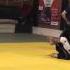 R I O BJJ 2013 Магомедов Шамиль Лудус Vs Зорин Роман Стрела Alliance