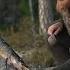 Solo Bushcraft Trip 4 Camps Fishing Canvas Tarp Fatwood Spoon Carving Homemade Axe Etc