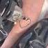 Heart Tattoo Very Dashing Tattoo Trending Alpha Tattoo