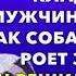 Жизненные истории Ремонтируя оградку своего сына мужчина заметил как собака Истории из жизни