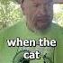 Cat Does It