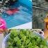 Daily Vlog Feeling Of Cold In Summer Mango Panna Recipe Youtube Socialmedia