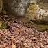 Hole By The River Leads To New Cave Discovery