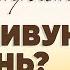 Как построить счастливую жизнь прот Владимир Головин г Болгар