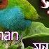স র আর রহম ন Surah Ar Rahman سورة الرحمن ও স র ইয স ন Surah Yaseen سورة يس এর ক রআন ত ল ওয ত
