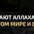 Алаи аль Халиди Сура 33 Аль Ахзаб Красивое чтение Корана