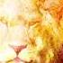 Favour Favour It Surrounds Me Like A Shield Instrumental Worship And Prayers Meditation Music