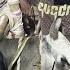 DANGEROUS COW LOADING AND UNLOADING OF SANY BHAI SKILLED GWALA KOLKATA COW MARKET 2025