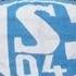 FC Schalke 04 Worldofultras