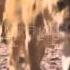 DJ NIL Animals Adrenalin Life Official Remix