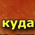 Место куда нельзя никого впускать ТАМ хранится великая женская сила