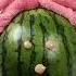ASMR Let S Get Watermelon Ready For Her Party Shorts Asmrsleep