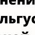 Топ упражнений при вальгусе коленей