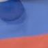 ГИМН РОССИИ Исполняет кошка Зефирка