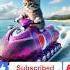 Kitten Rides Soda Jetski Cats Cutecat Funny Catlovers