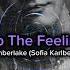 Justin Timberlake Sofia Karlberg Cover Cant Stop The Feeling Sped Up Remix