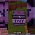 Prepare To Be Amazed Minecraft TNT Creations Shorts