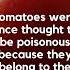 Tomato Revelation The Surprising History Behind The Poisonous Fruit Tomato Facts
