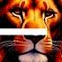 LEO PLOT TWIST YOU THOUGHT THIS WOULDN T GO IN YOUR FAVOR May June Weekend Tarot Reading 2025