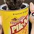 Cute Kitten Hides On Picnik Cute Kitten Cat Shorts Sprunki
