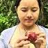 Camping How To Identify Edible Fruits In The Forest Camping Lifehacks Bushcraft Survival