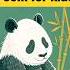 A Panda Sleeps Cute Animal Poem For Kids Kidspoems Animation Animalshorts Learningpoem