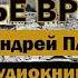 Теченье времени А Платонов Аудиокнига аудиокнига слушатьаудиокниги библиотека Books книга