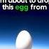 Egg Drop From Space