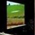 Pink Floyd The Happiest Days Of Our Lives