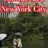 Walking In Central Park On A Rainy Day NYC Rain Walk 4K Newyorkcity Centralpark