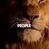 Sigma Rule Attitude Status WhatsApp Status Attitude Quotes Shorts Quotes Attitude