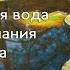 Прибывающая вода 1 2 3 и 4 неделя Медитация Джо Диспенза Сила подсознания аюмедитэйшн