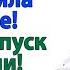 Отдал премию маме Я в отпуск еду одна А ты отдохни у мамки на балконе свекровь и невестка истории