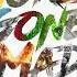 The Fold World Gone Mad Official Audio