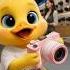 The Duckling Buys Pink Camera Short Ducklings Cuteanimal Pets