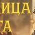 Защитница света Авторская песня Музыкальный Клип